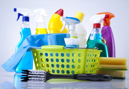 Deep cleaning process for pet odour removal in a Battersea property