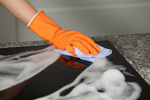 Professional window cleaning for Battersea homes and flats