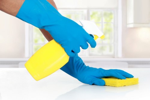 Deep cleaning process for a wool rug in Battersea