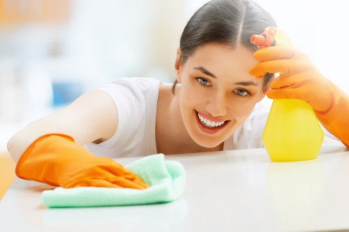 Specialist treatment for pet urine smell on carpet and upholstery