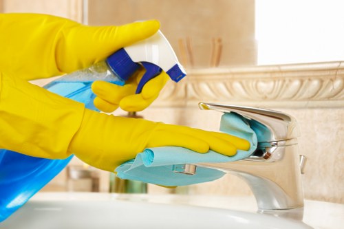 Professional carpet deep cleaning equipment in Battersea