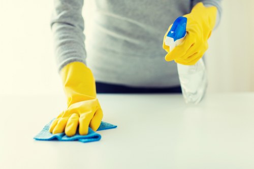 Oven cleaning for residential and commercial customers in Battersea