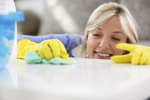 Detailed bathroom cleaning for a Battersea move out service