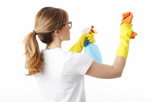 Window cleaning service for Battersea residential and commercial properties