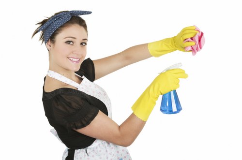 Local transfer station and waste separation for recycling in South West London