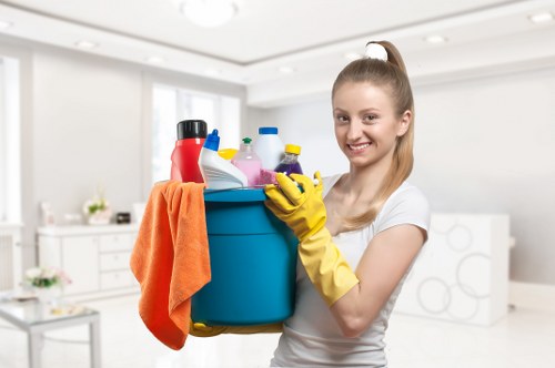 Deep carpet cleaning equipment refreshing carpet fibres