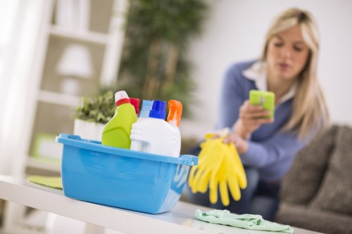 Professional carpet cleaning liability and service standards