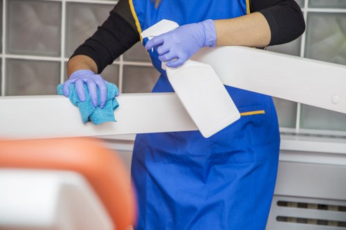 Deep mattress cleaning for a rental property in Battersea